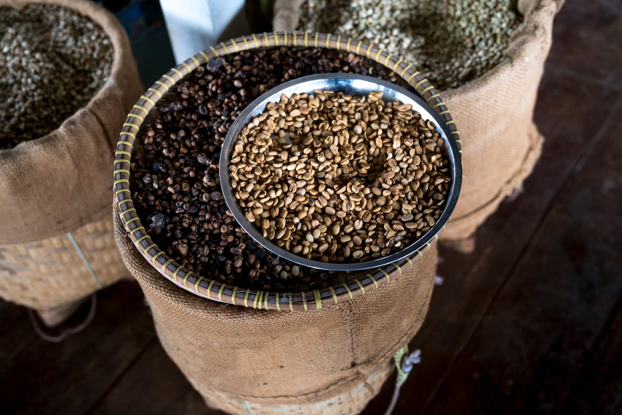 Brasil exportou quase 2 milhões de sacas de café