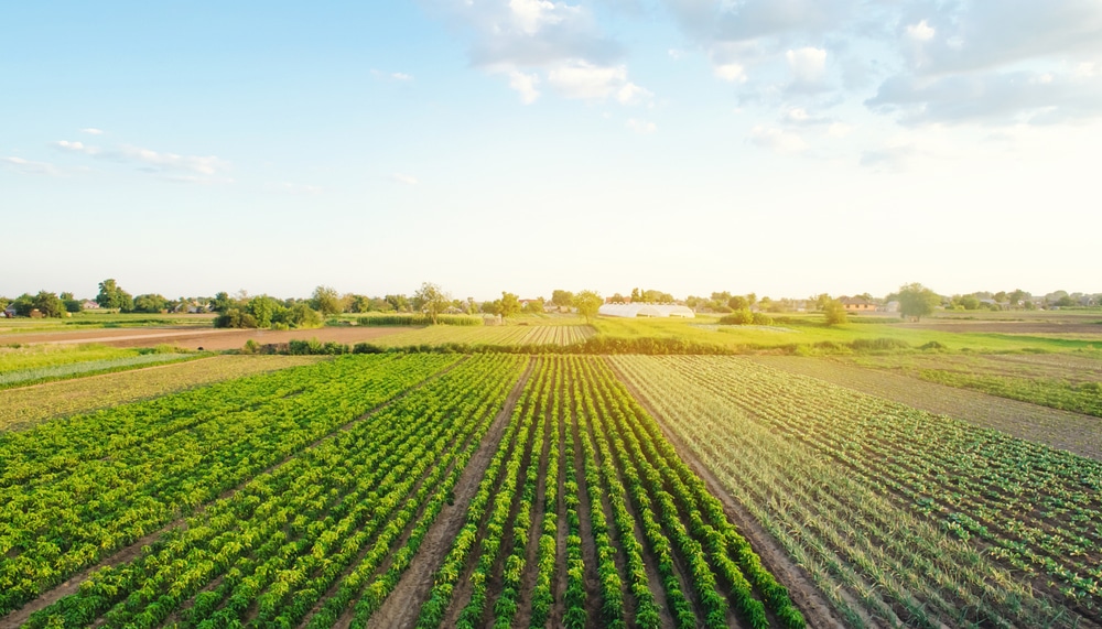 Dependência de fertilizantes importados no Brasil