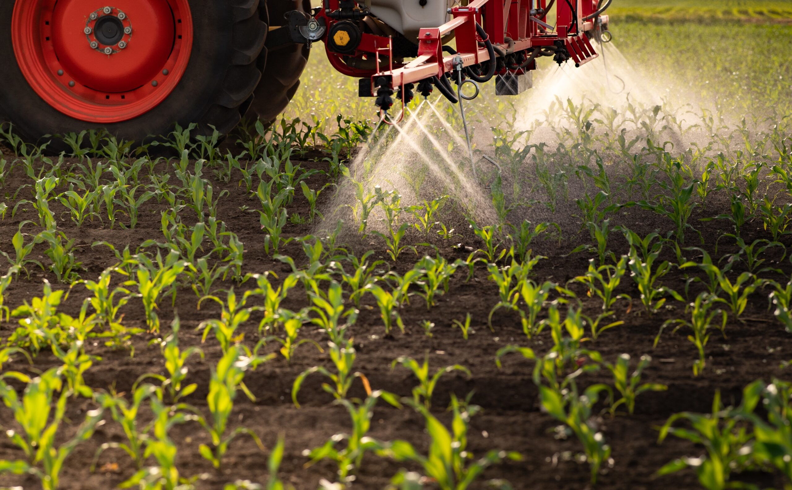 Impactos da estiagem no Norte do Brasil na importação de fertilizantes