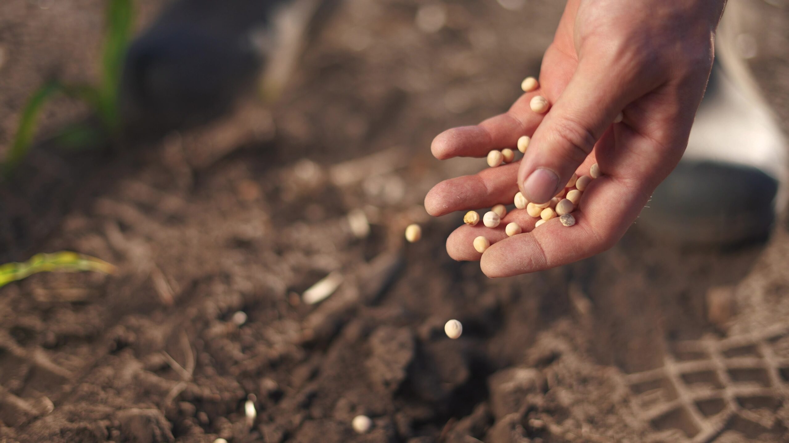 Superávit comercial em queda: setores agropecuário e extrativo pressionam