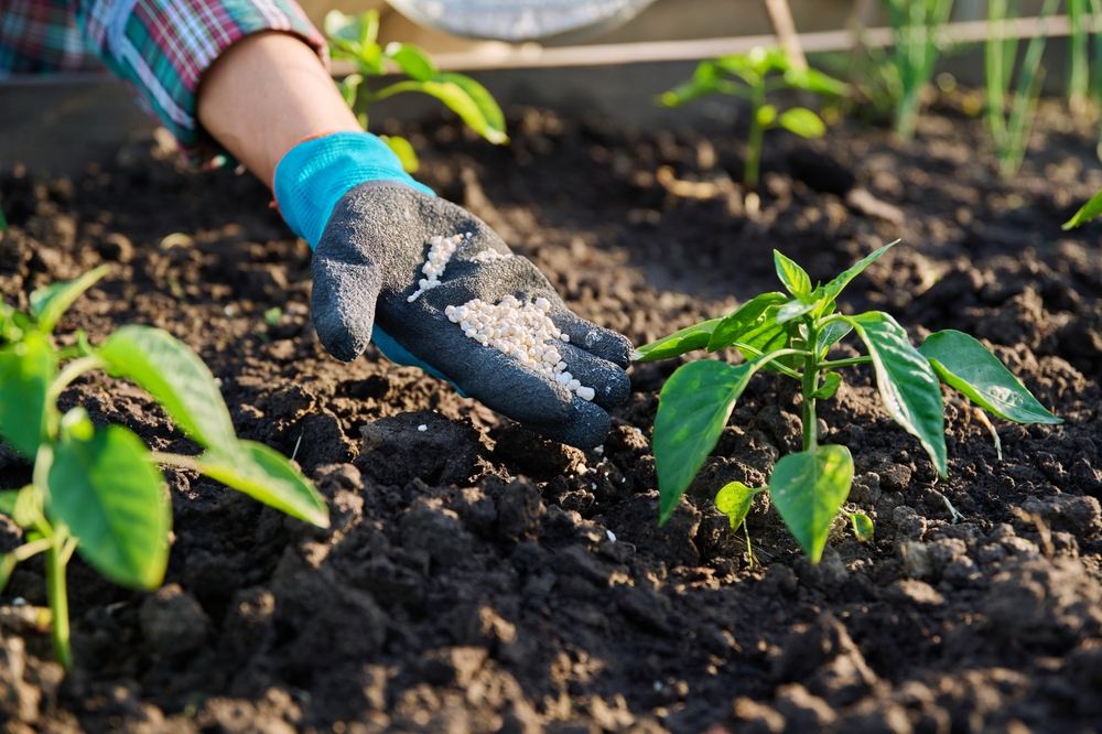 Importação de Fertilizantes Cresce para Preparar a Nova Safra 2024